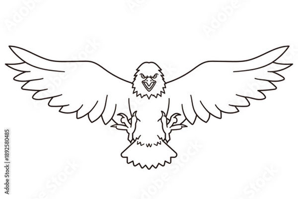 Obraz Bald eagle line art vector illustration