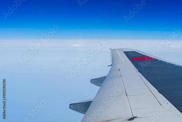 Obraz 飛行機から見る青空