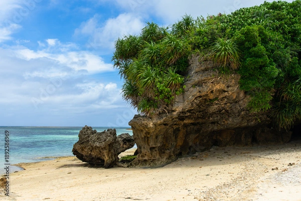 Obraz 沖縄　本島　エメラルドビーチ　岩