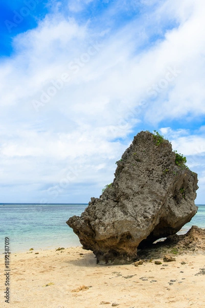 Obraz 沖縄　本島　エメラルドビーチ　岩