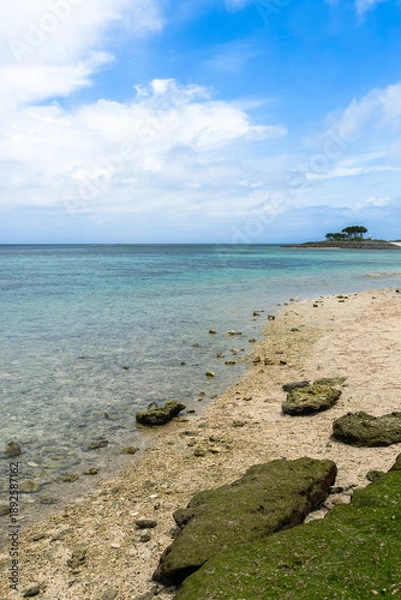 Obraz 沖縄　本島　エメラルドビーチ　岩