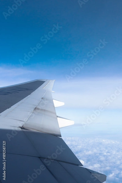 Obraz 飛行機から見る青空