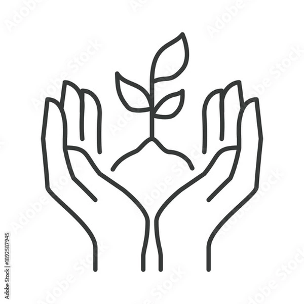 Fototapeta Hands nurturing a plant