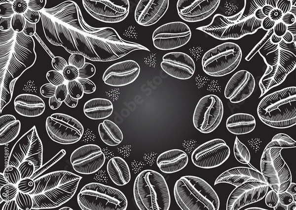 Fototapeta Coffee tree illustration.