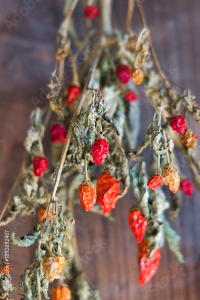 Obraz 壁に吊るされた綺麗なドライフラワーリース