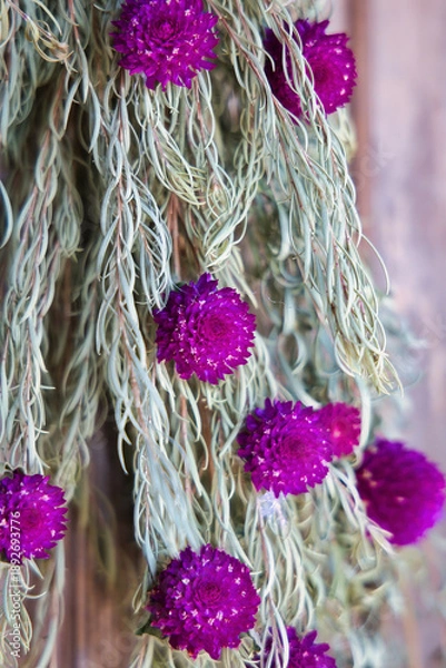 Obraz 壁に吊るされた綺麗なドライフラワーリース