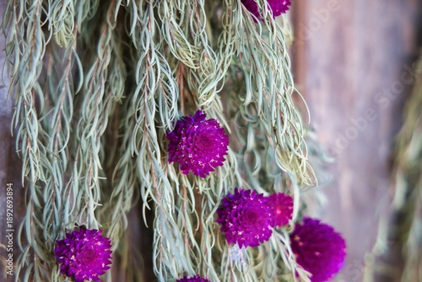 Obraz 壁に吊るされた綺麗なドライフラワーリース