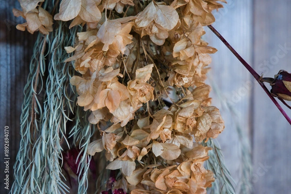 Obraz 壁に吊るされた綺麗なドライフラワーリース