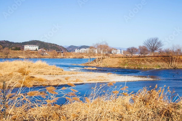 Obraz 대구광역시 북구 금호강 갈대거리