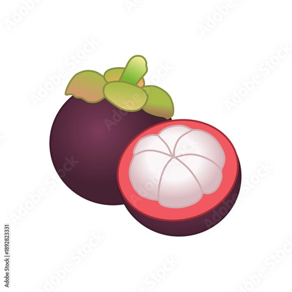 Obraz mangosteen vector
