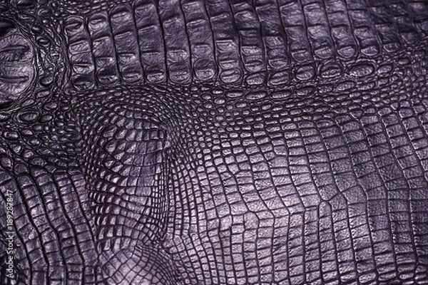 Obraz crocodile skin