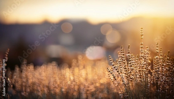 Obraz Justitia Bokeh Background