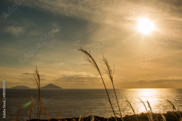 Obraz 【日本の景色】大島