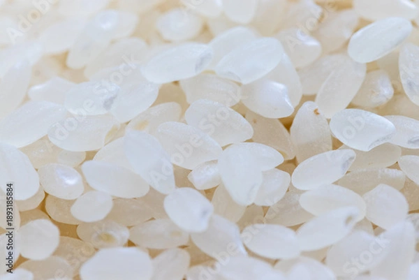 Fototapeta 白い米粒の質感