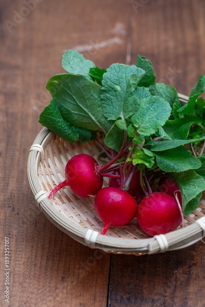 Obraz ラディッシュ、野菜、根菜、赤い、新鮮