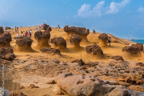 Obraz Visitors at the Yehliu Geopark in Taiwan are admiring a group of mushroom rocks covered with holes of different sizes which appear like honeycombs.