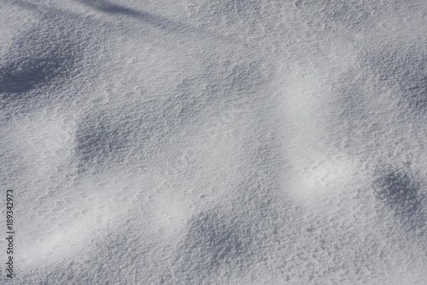 Fototapeta pattern snow