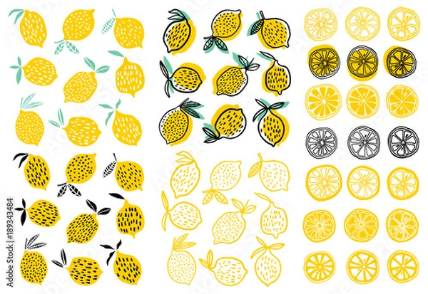 Obraz Ilustracja wektorowa cytryny
