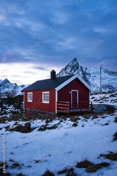 Obraz House next to mountains