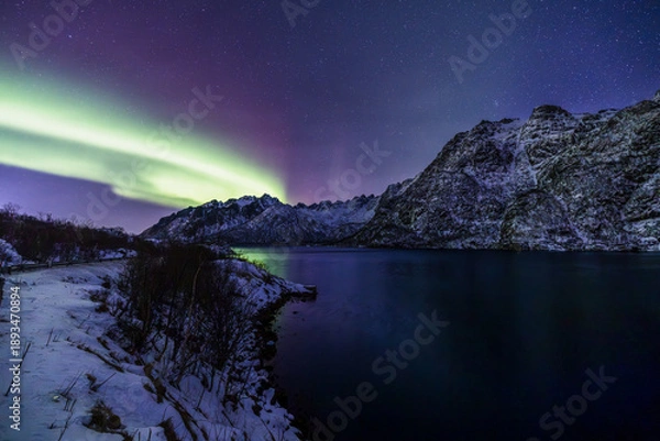 Obraz Auroras over Lofoten