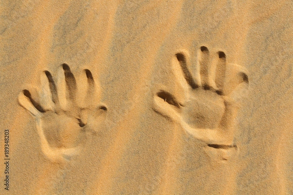 Fototapeta main dans le sable