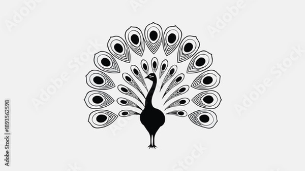 Obraz Vector peacock silhouette with spread tail feathers