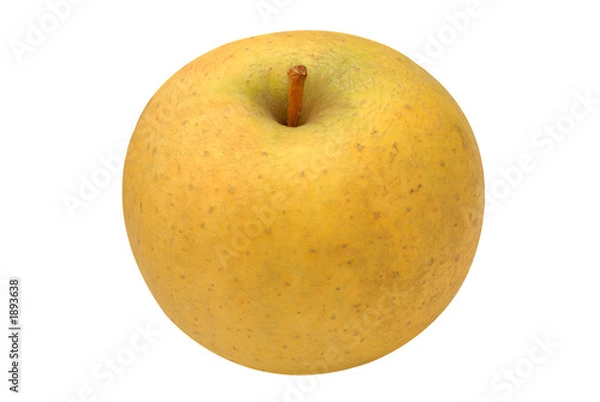 Obraz chanteclerc jabłkowy