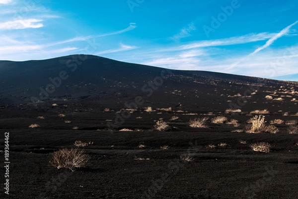 Obraz 【国内】裏砂漠