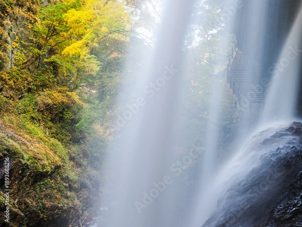 Obraz 紅葉の雷滝