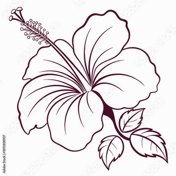 Obraz Illustrated hibiscus flower