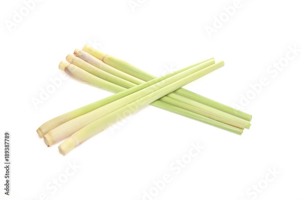 Fototapeta レモングラス