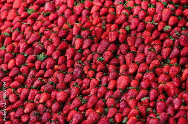 Obraz Fresh strawberries background. Copy space. Harvest. Food frame and banner