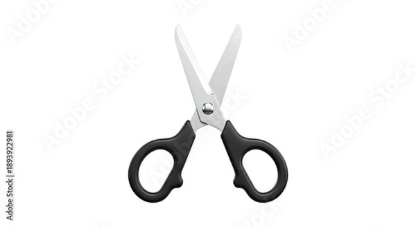 Obraz Pair of Black Handled Scissors