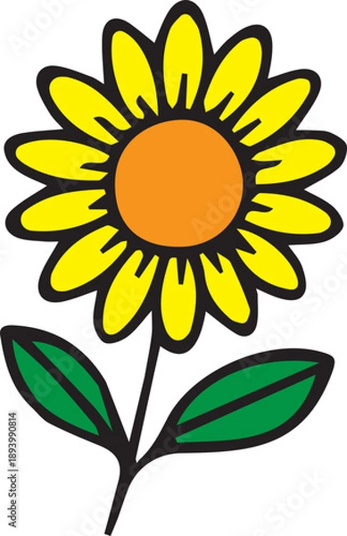 Obraz sunflower vector illustration