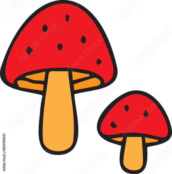Obraz fly agaric vector illustration