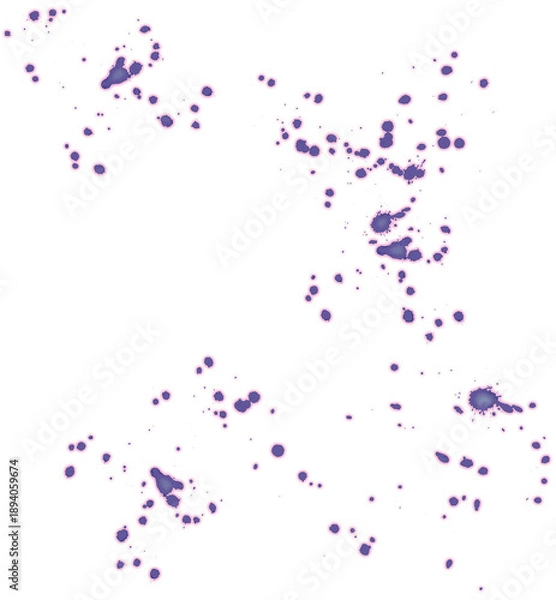 Obraz Purple paint drops splash