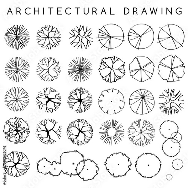 Fototapeta Zestaw architektonicznych ręcznie rysowanych drzew: ilustracja wektorowa