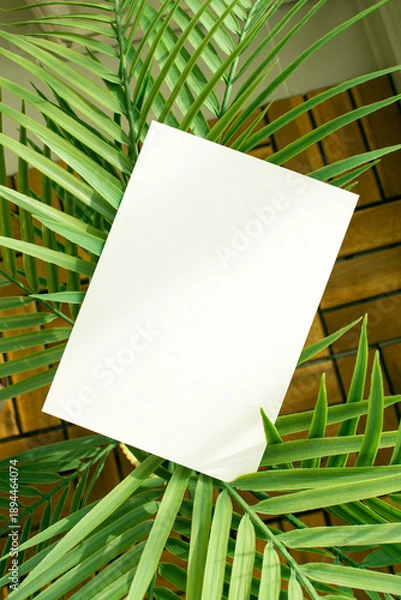 Obraz 모던한 식물 장식과 카드 목업