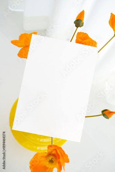 Obraz 모던한 식물 장식과 카드 목업