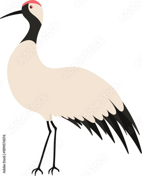 Obraz crane bird illustration