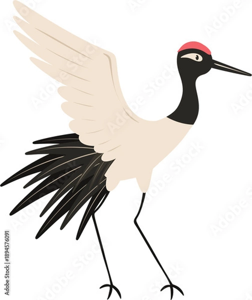 Obraz crane bird illustration
