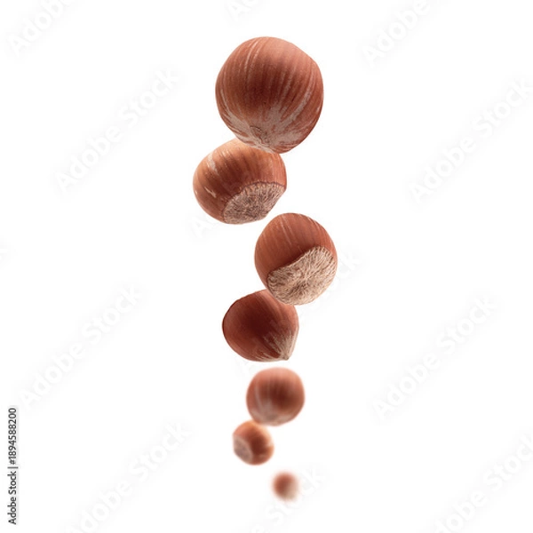 Obraz Ripe hazelnuts levitate on a white background