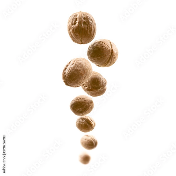 Obraz Whole walnuts levitate on a white background
