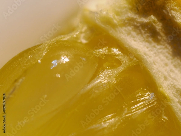 Obraz 爽やかな香りが漂うような新鮮なレモンやグレープフルーツの接写