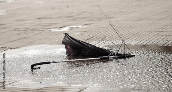 Fototapeta A broken umbrella