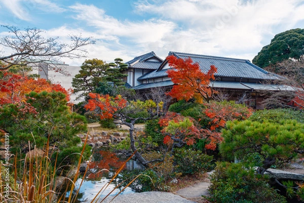 Obraz 日本庭園の伝統的な瓦屋根と鮮やかな秋の彩り