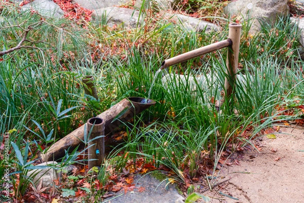 Obraz 秋の風情を感じる伝統的な添水（ししおどし）と紅葉