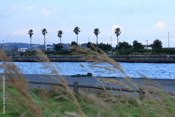 Fototapeta 夕暮れ時の青みかかった江ノ島近くの片瀬漁港の様子
