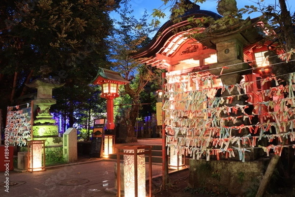 Obraz 江ノ島にある神社や歩道がライトアップされた夜景
