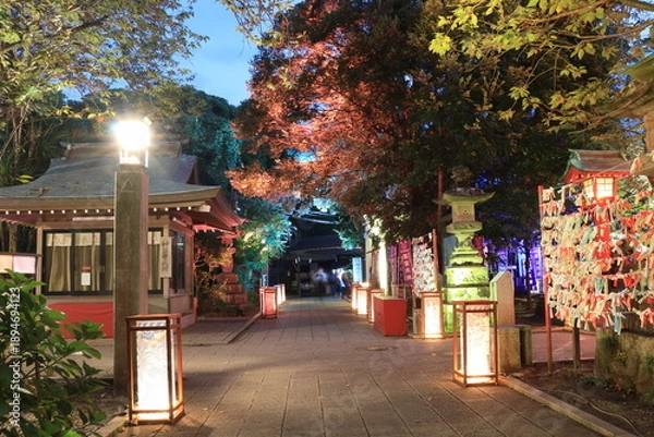 Obraz 江ノ島にある神社や歩道がライトアップされた夜景
